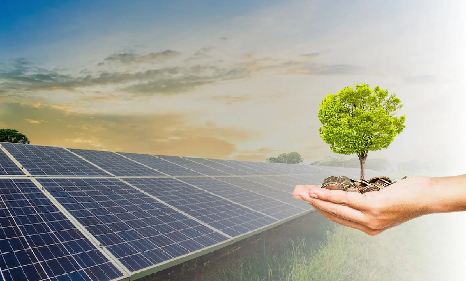 Solar Panel in Gurgaon