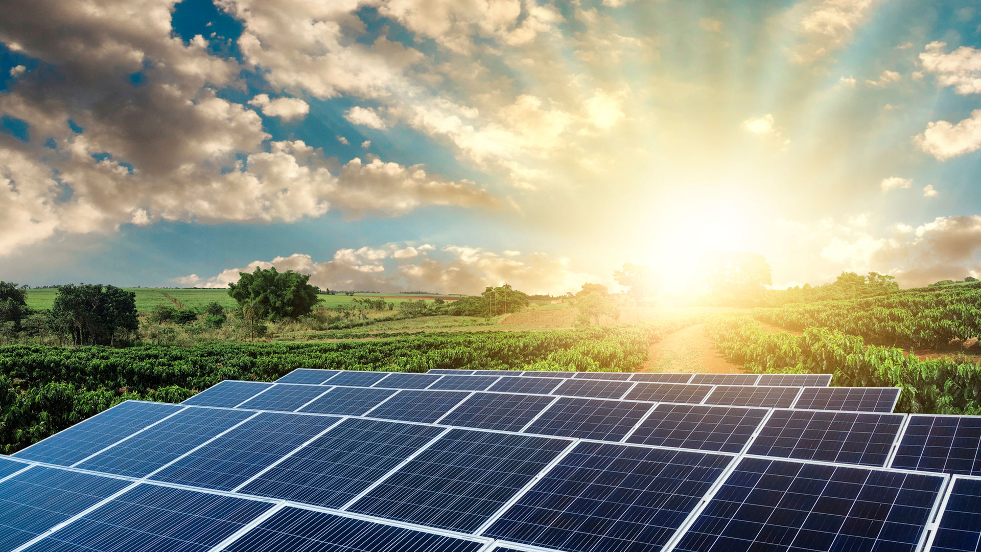 Solar Company in Jhajjar Haryana